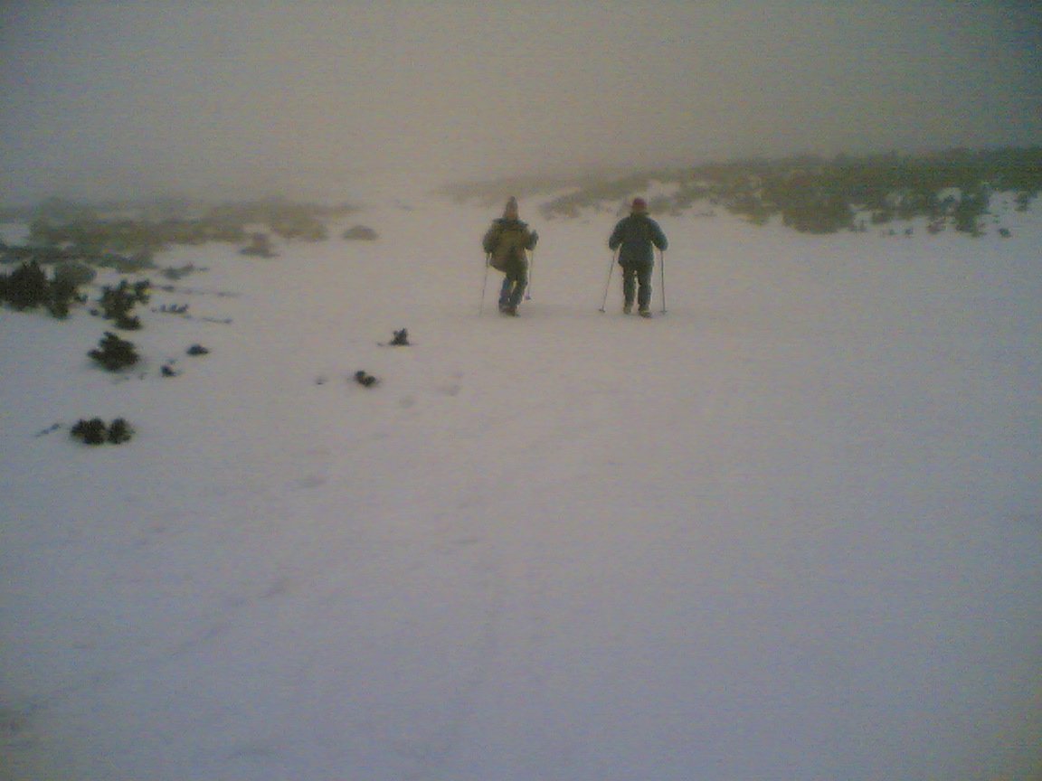 Eg&eacute;szs&eacute;g&uuml;kre elf(!)t&aacute;rsak, ir&aacute;ny lefel&eacute;!