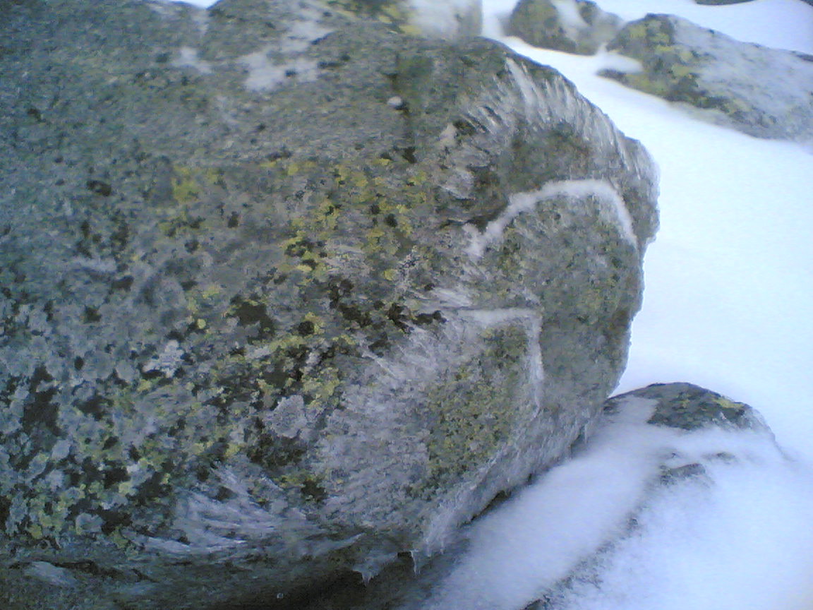 J&eacute;gvir&aacute;g, de nem ablakon, hanem k&ouml;v&ouml;n